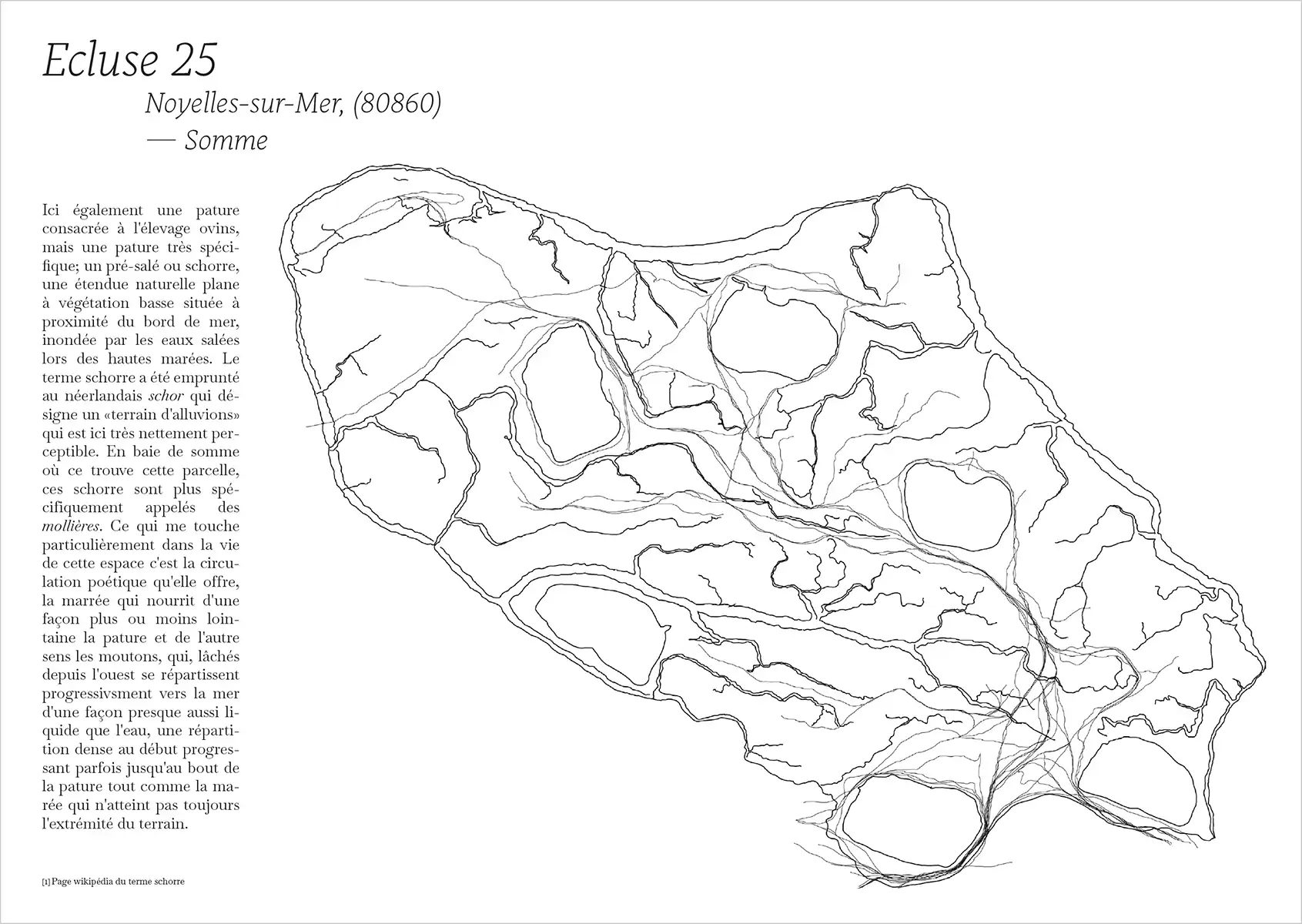 extrait pages édition Etudier